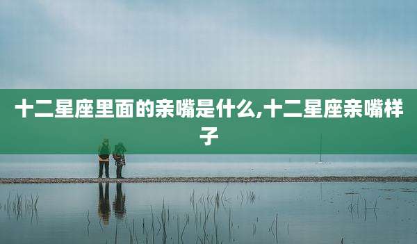 十二星座里面的亲嘴是什么,十二星座亲嘴样子