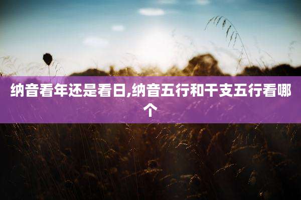 纳音看年还是看日,纳音五行和干支五行看哪个