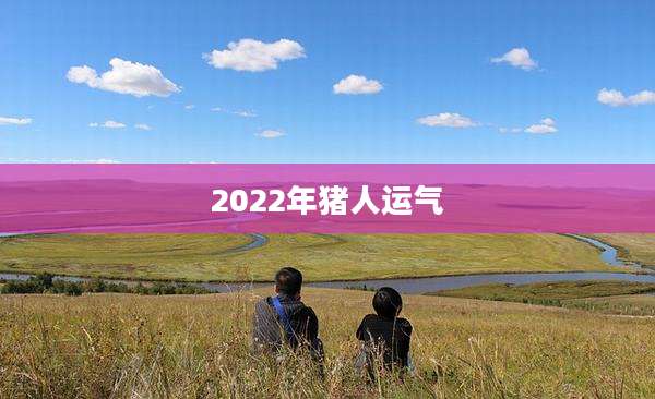 2022年猪人运气