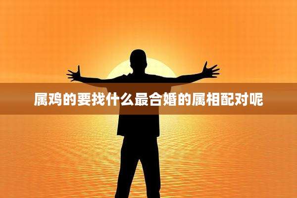 属鸡的要找什么最合婚的属相配对呢