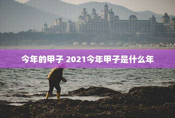 今年的甲子 2021今年甲子是什么年