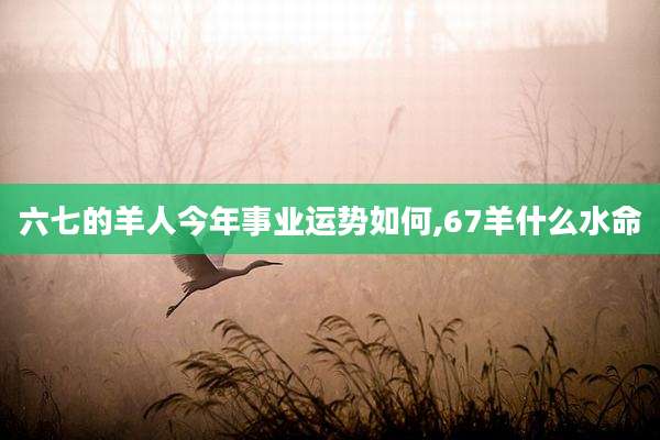 六七的羊人今年事业运势如何,67羊什么水命