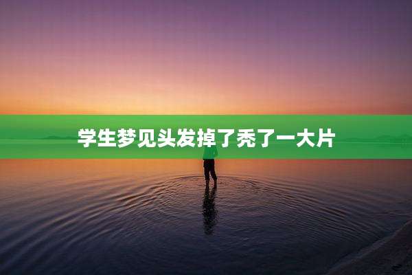 学生梦见头发掉了秃了一大片