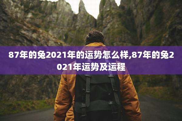 87年的兔2021年的运势怎么样,87年的兔2021年运势及运程