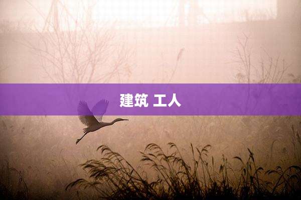 建筑 工人
