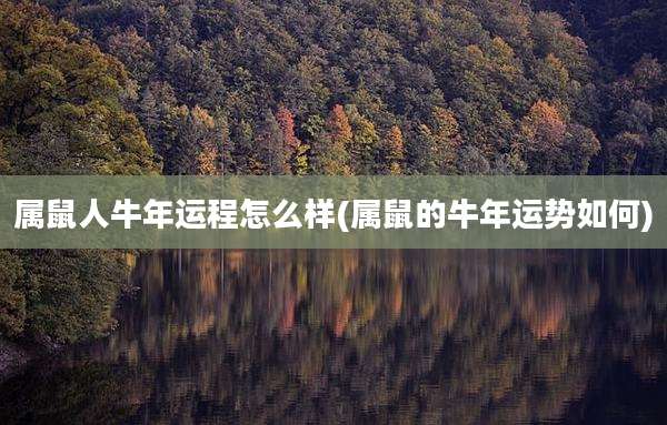 属鼠人牛年运程怎么样(属鼠的牛年运势如何)