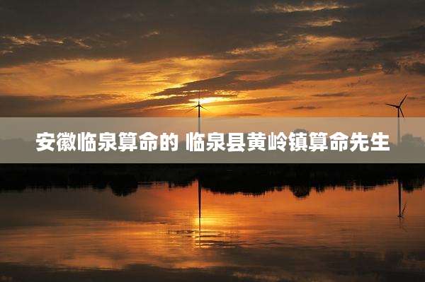 安徽临泉算命的 临泉县黄岭镇算命先生