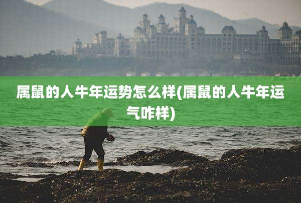 属鼠的人牛年运势怎么样(属鼠的人牛年运气咋样)