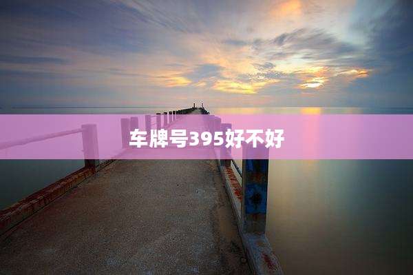 车牌号395好不好
