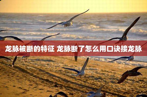 龙脉被断的特征 龙脉断了怎么用口诀接龙脉