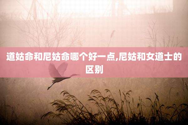 道姑命和尼姑命哪个好一点,尼姑和女道士的区别