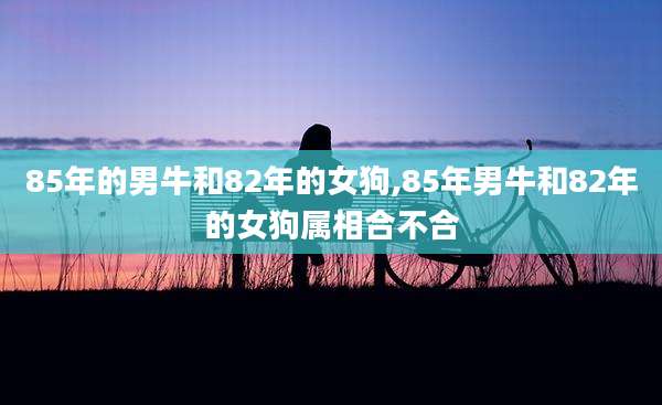 85年的男牛和82年的女狗,85年男牛和82年的女狗属相合不合