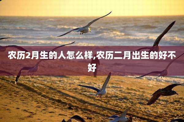 农历2月生的人怎么样,农历二月出生的好不好
