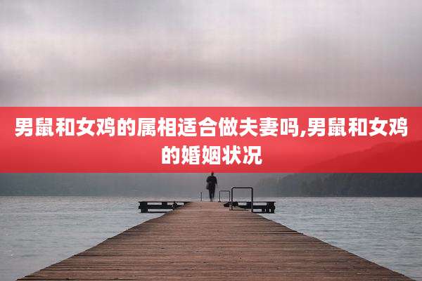 男鼠和女鸡的属相适合做夫妻吗,男鼠和女鸡的婚姻状况