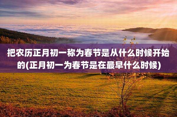 把农历正月初一称为春节是从什么时候开始的(正月初一为春节是在最早什么时候)