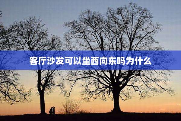 客厅沙发可以坐西向东吗为什么