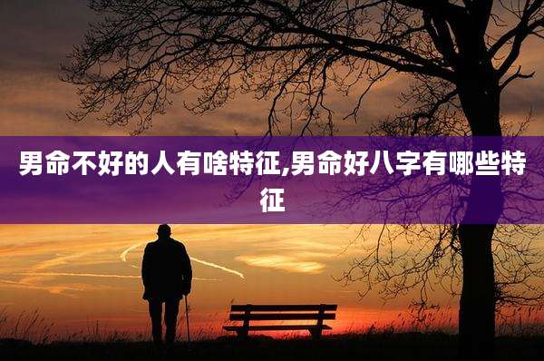 男命不好的人有啥特征,男命好八字有哪些特征