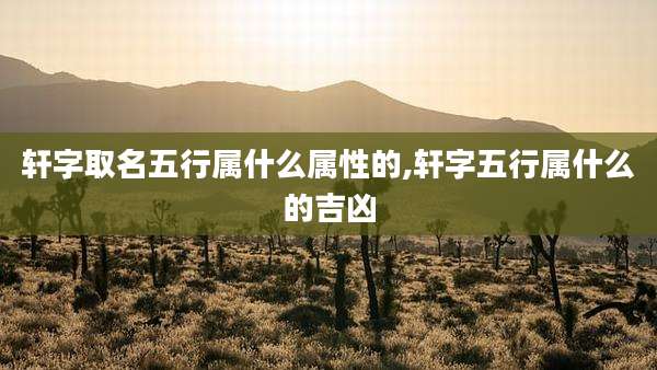 轩字取名五行属什么属性的,轩字五行属什么的吉凶