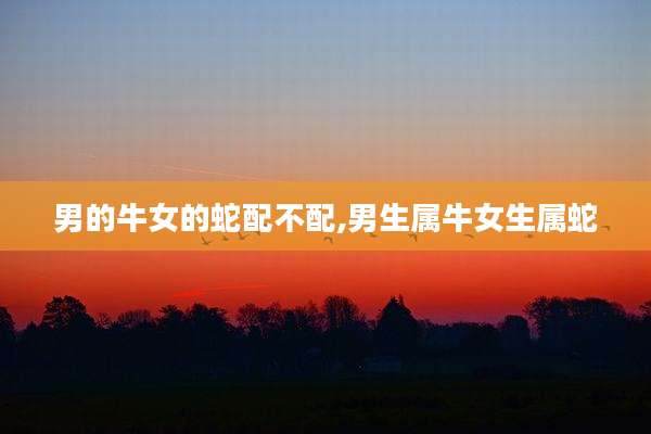 男的牛女的蛇配不配,男生属牛女生属蛇