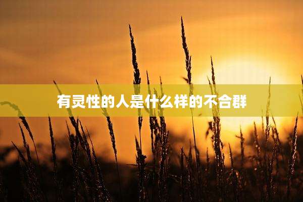 有灵性的人是什么样的不合群
