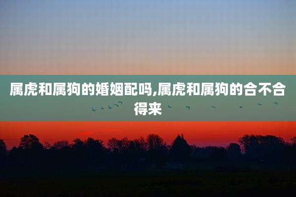 属虎和属狗的婚姻配吗,属虎和属狗的合不合得来