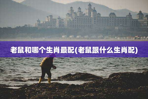 老鼠和哪个生肖最配(老鼠跟什么生肖配)