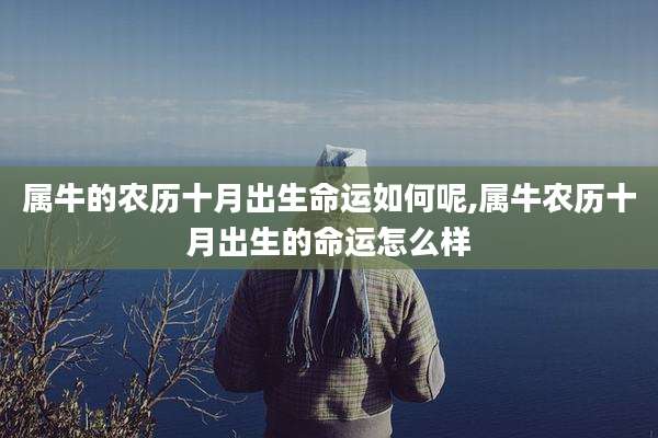 属牛的农历十月出生命运如何呢,属牛农历十月出生的命运怎么样