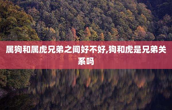 属狗和属虎兄弟之间好不好,狗和虎是兄弟关系吗