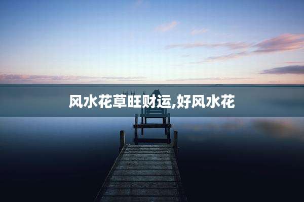 风水花草旺财运,好风水花