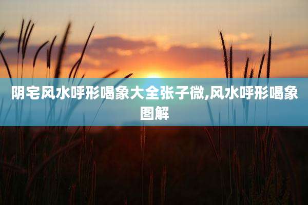 阴宅风水呼形喝象大全张子微,风水呼形喝象图解