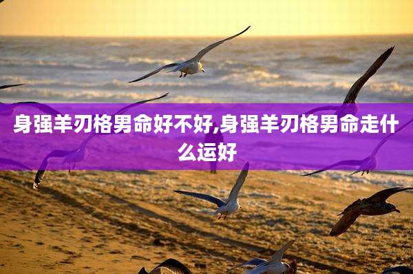 身强羊刃格男命好不好,身强羊刃格男命走什么运好