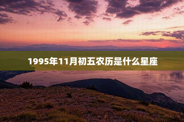 1995年11月初五农历是什么星座
