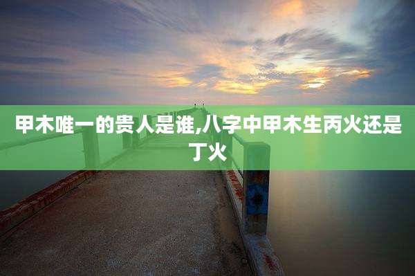 甲木唯一的贵人是谁,八字中甲木生丙火还是丁火