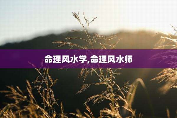 命理风水学,命理风水师
