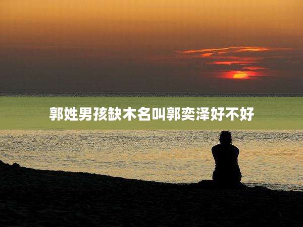郭姓男孩缺木名叫郭奕泽好不好