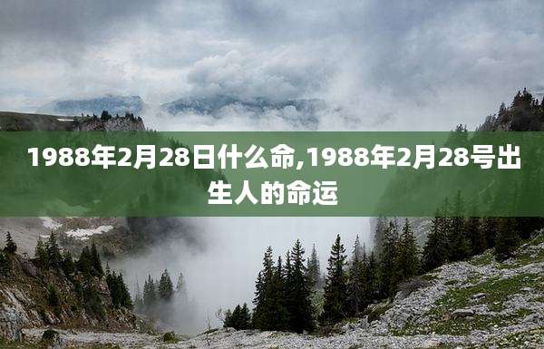 1988年2月28日什么命,1988年2月28号出生人的命运