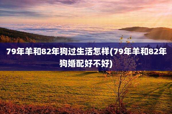 79年羊和82年狗过生活怎样(79年羊和82年狗婚配好不好)