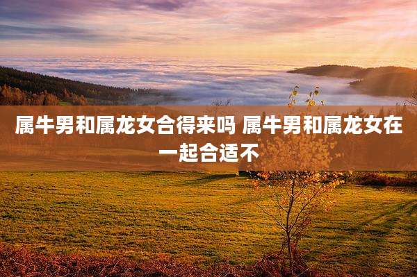 属牛男和属龙女合得来吗 属牛男和属龙女在一起合适不