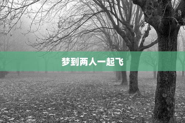 梦到两人一起飞