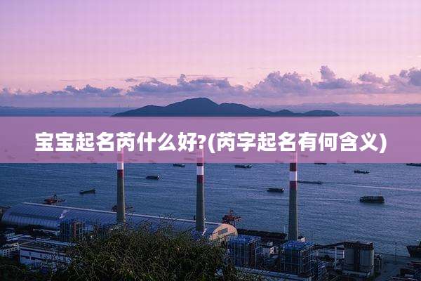宝宝起名芮什么好?(芮字起名有何含义)