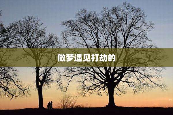 做梦遇见打劫的