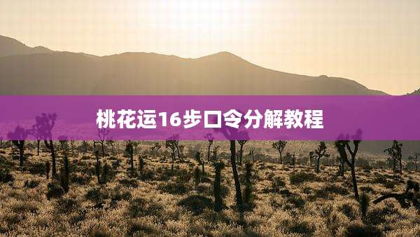 桃花运16步口令分解教程