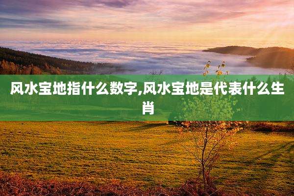 风水宝地指什么数字,风水宝地是代表什么生肖