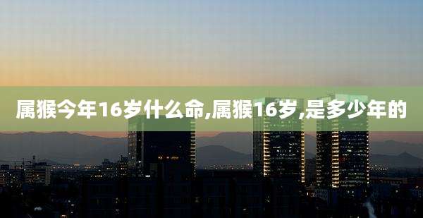 属猴今年16岁什么命,属猴16岁,是多少年的
