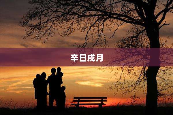 辛日戌月