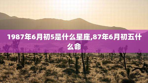 1987年6月初5是什么星座,87年6月初五什么命