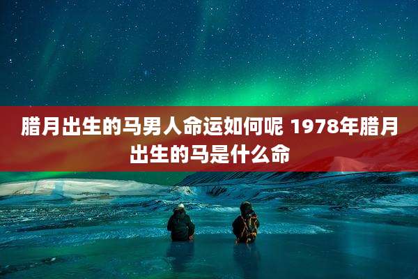 腊月出生的马男人命运如何呢 1978年腊月出生的马是什么命