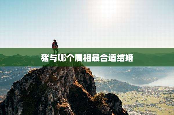 猪与哪个属相最合适结婚
