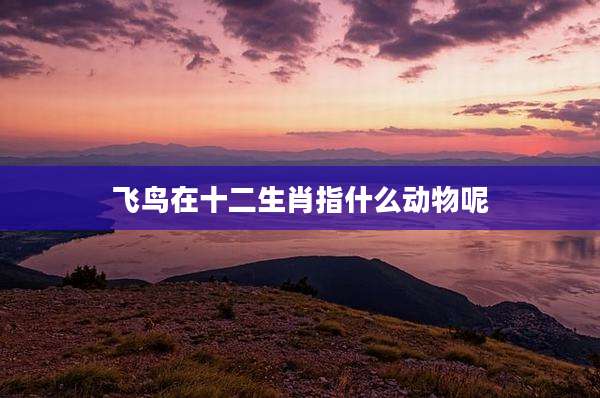 飞鸟在十二生肖指什么动物呢