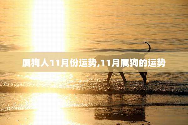 属狗人11月份运势,11月属狗的运势